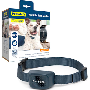 Best bark sale collar