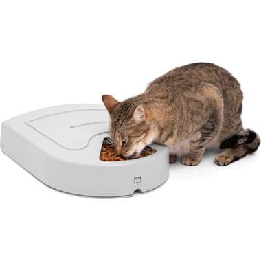 Battery Operated Dog Feeder Petco