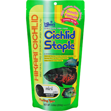 Best cichlid food 2025