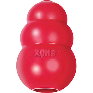 Puppy heartbeat toy petco hotsell