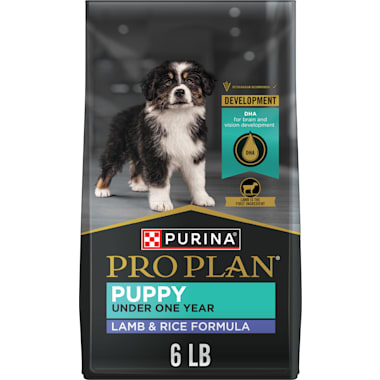 Cocker spaniel hotsell puppy food