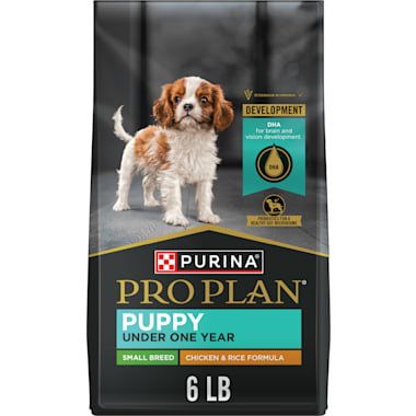 Morkie Puppy Food Petco