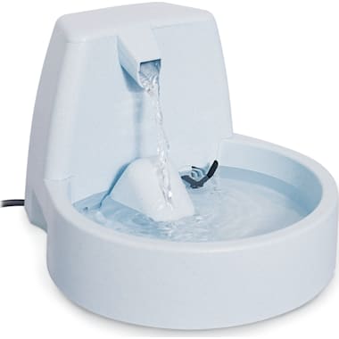 Petsafe Mini Pet Fountain Petco