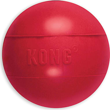 Kong frisbee petco outlet