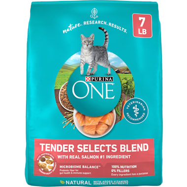 Soft Dry Food For Cats With Bad Teeth Petco