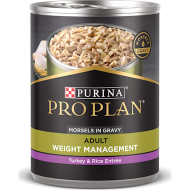 Purina Pro Plan High Protein Gravy FOCUS Weight Management Turkey & Rice Entree Wet Dog Food 13 oz. Best food
