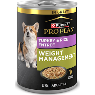 Purina Pro Plan High Protein Gravy FOCUS Weight Management Turkey & Rice Entree Wet Dog Food 13 oz. Best food