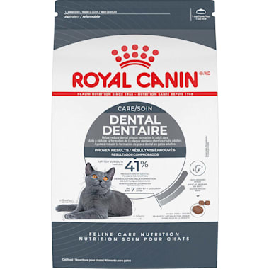 Food for cats hotsell with no teeth