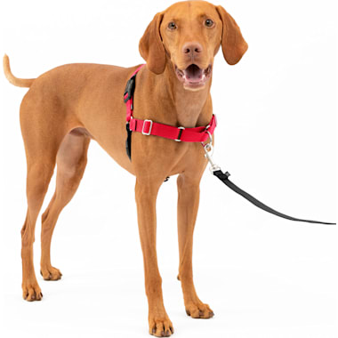 Walk in shop sync harness