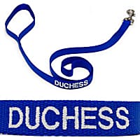 Coastal Pet 3/4" Personalized Nylon Leash in Blue