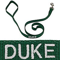 Coastal Pet 3/4" Personalized Nylon Leash in Hunter Green