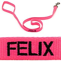 Coastal Pet 3/4" Personalized Nylon Leash in Neon Pink