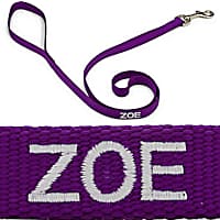 Coastal Pet 3/4" Personalized Nylon Leash in Purple