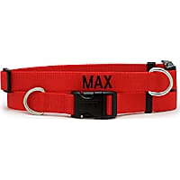 Coastal Pet Products Personalized Red Adjustable Dog Collar with Plastic Buckle