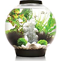 YCTECH 1.4 Gallon Betta Aquarium Starter Kits, Fish Tank with LED Light and  Filter Pump White Black (320white)