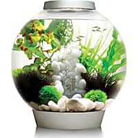 biOrb CLASSIC 30 Silver Aquarium with Standard Light