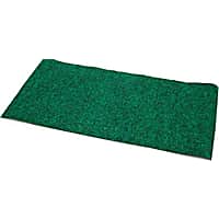 Petco reptile carpet discount
