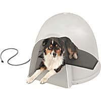 Petco heated dog beds sales