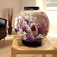 biOrb CLASSIC 60 Black Aquarium with Standard Light