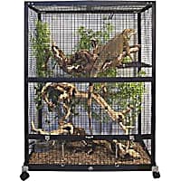 Chameleon Cages Tanks Habitats Petco
