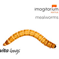 Vita-Bugs Mealworms