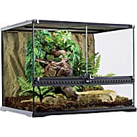 Petco bearded dragon kit outlet