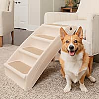Cat Stairs Steps Ramps Cat Stairs for Bed More Petco