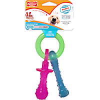 Nylabone Puppy Chew Teething Pacifier Bacon Dog Chew Toy