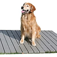 The Kennel Deck Dog Flooring