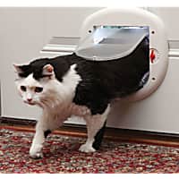 Petco cat door discount