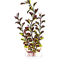 Imagitarium Red & Green Ludwigia Plastic Aquarium Plant