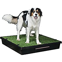 Pet Loo Indoor Yard Training System for Dogs