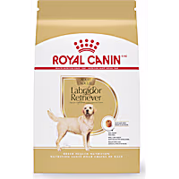 Royal Canin Breed Health Nutrition Labrador Retriever Adult Dry Dog Food