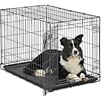 Pet Essentials Wire Dog Crate Medium 3-ft L x 2-ft W x 2.2-ft H in the  Crates & Kennels department at