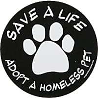 Imagine This Save A Life Adopt A Homeless Pet Car Magnet