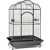 Parrot Cages and Habitats Premium Bird Enclosures for Sale Petco