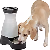 PetSafe Healthy Pet Gravity Waterer