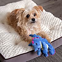 goDog Plush Dragon Dog Toy
