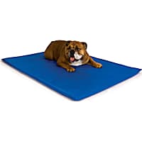 Petco cooling mat clearance