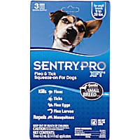 Sentry Pro XFT Squeeze-On Dogs 11 to 20 lbs. Flea & Tick Treatment