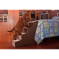 Pet Gear Chocolate Easy Step IV