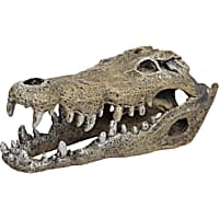 Blue Ribbon Nile Crocodile Skull Aquarium Ornament