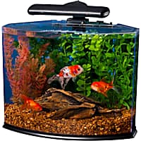Tetra Curved-Front Tank With LEDs Crescent Aquarium Kit