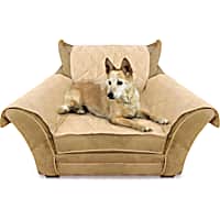 Petco couch covers store
