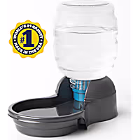 Petmate Replendish Filtered Gravity Pet Waterer with Microban