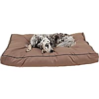 Outside dog mat online