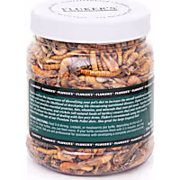 Fluker's Medley Treat for Aquatic Turtles