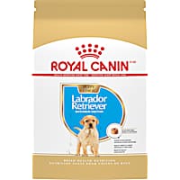 Royal Canin Breed Health Nutrition Labrador Retriever Puppy Dry Dog Food
