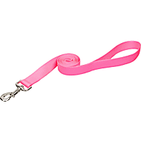 Coastal Pet Nylon Personalized Dog Leash in Bright Pink, 1" Width