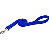 Coastal Pet Personalized Blue Double-Ply Dog Leash